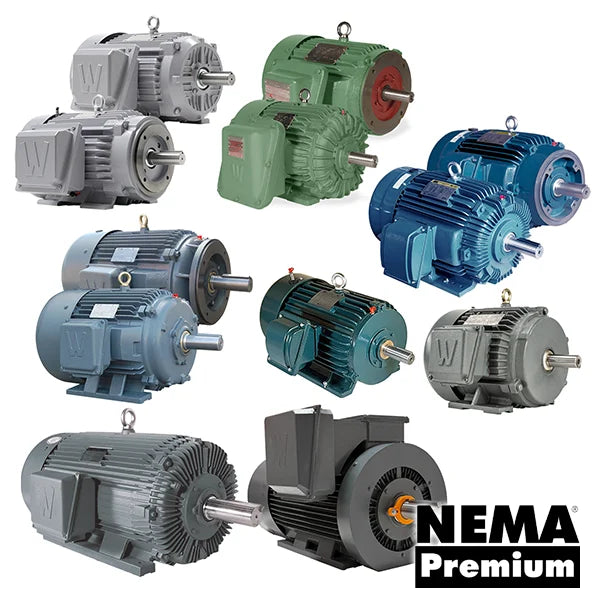 Severe Duty Motors
