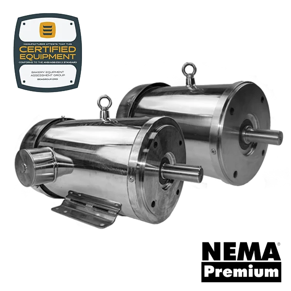 Stainless Steel Motors